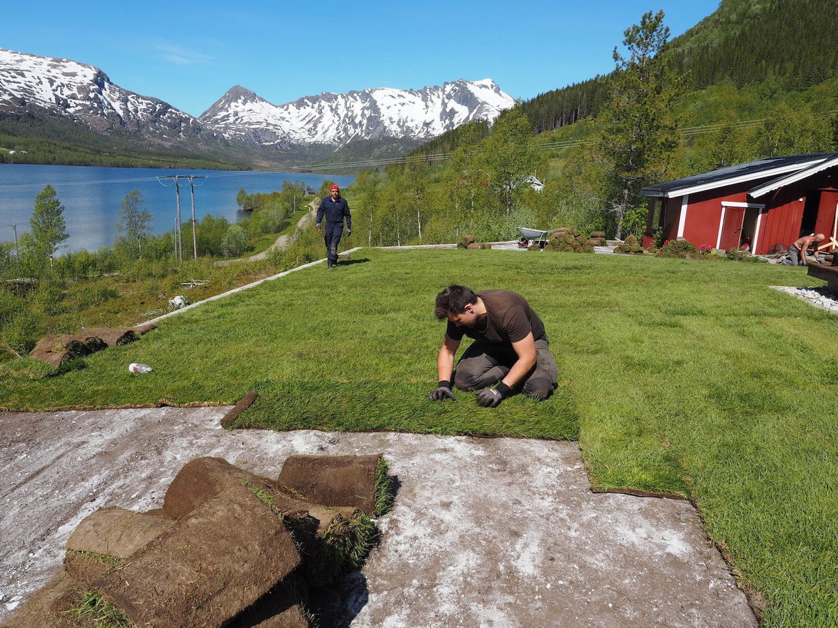 Reparasjon av plen med ferdigplenruller